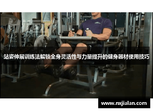 站姿伸展训练法解锁全身灵活性与力量提升的健身器材使用技巧