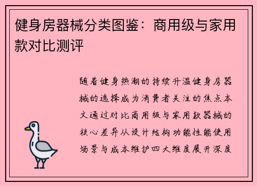 健身房器械分类图鉴：商用级与家用款对比测评