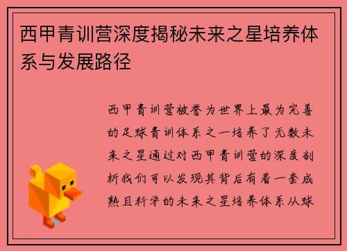 西甲青训营深度揭秘未来之星培养体系与发展路径